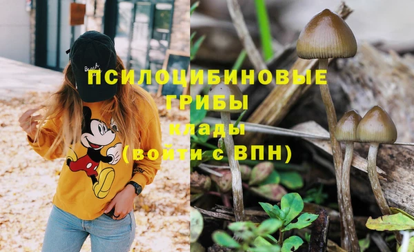 дурь Абдулино
