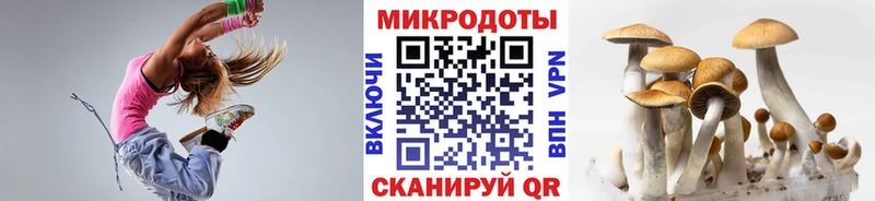Псилоцибиновые грибы GOLDEN TEACHER  что такое наркотик  Норильск 